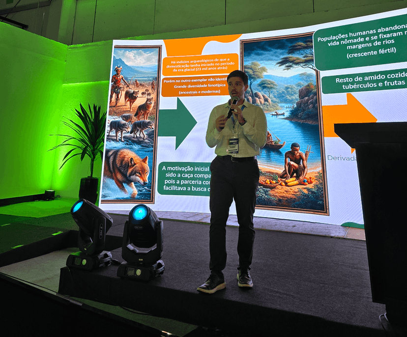 thumb de um post do blog