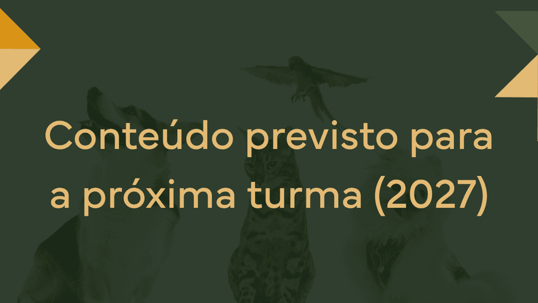 Banner de destaque da página de Materiais